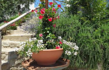 Villa Colle di Giotto Mugello, Tuscany - Foto 29