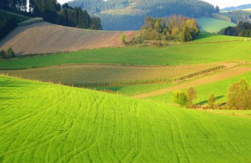 Ferienhaus Schmallenberg nahe Skibus - Foto 39