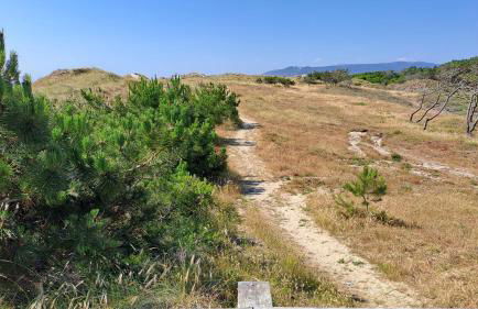 Terra e Mar - Foto 6