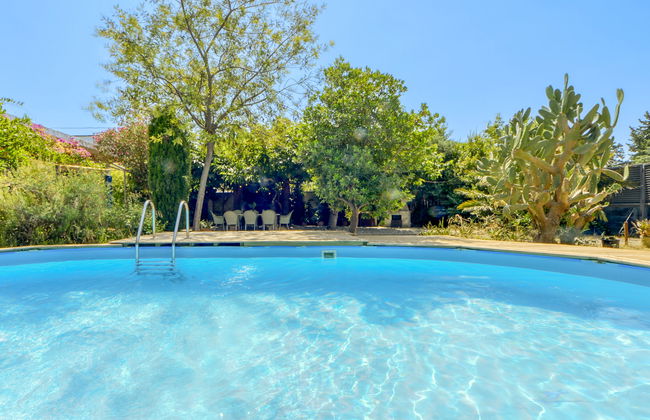 Ave de Paso - Foto 31