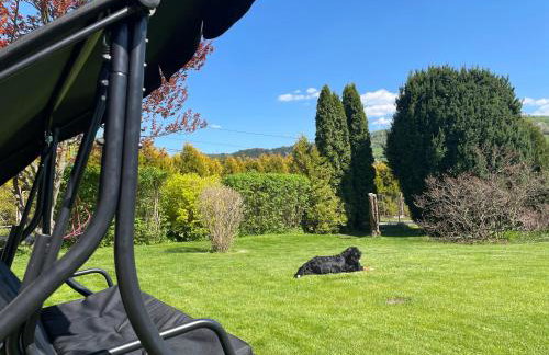 Dolce Vita - Photo 62