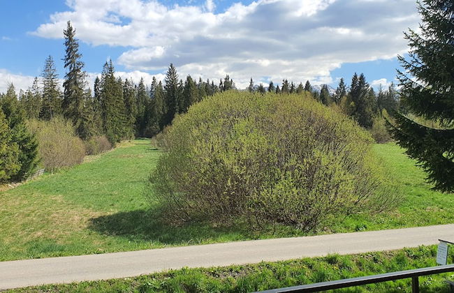 Apartamenty Górski Kryształ - Foto 29