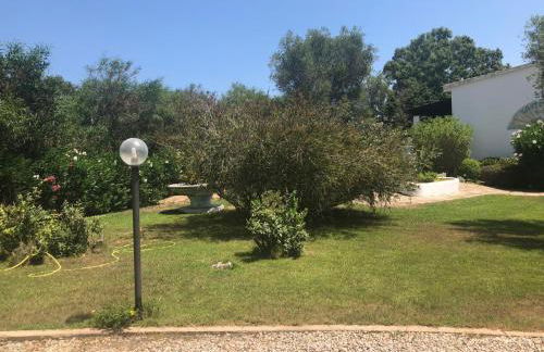 White Sand Residence - Foto 25