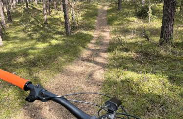 JURA DOM www SOKOLNICA PL - Foto 28