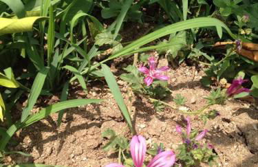 Agriturismo Le terre di zoe' - Foto 109