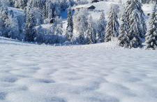 Landhaus Eibelesee - Foto 52