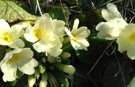 Sleepy Paradise Plitvice - Foto 28