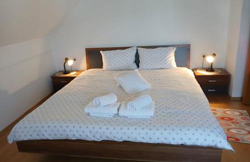 Apartman Skender 3* Ravna Gora - Foto 70