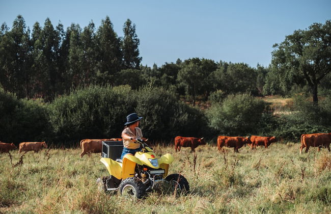 Herdade dos Cordeiros - Foto 40