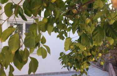 Apartment Dolphins - Photo 51