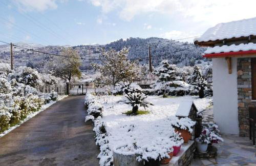 Παραδοσιακό σπίτι με τζάκι - Foto 25