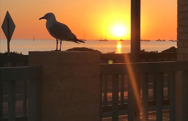 Shark Bay Seafront Apartments - Photo 63