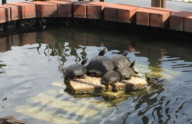 Deercreek Townhomes - Foto 43