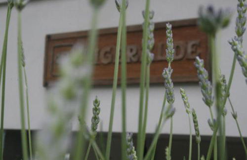 Casa Rural Higeralde - Foto 16