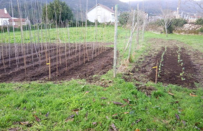 O Cruceiro - Photo 37