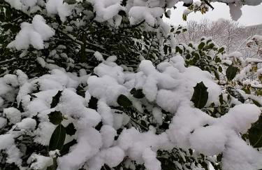 Casa Largo S Lourenço e Casa da Videira - Photo 33