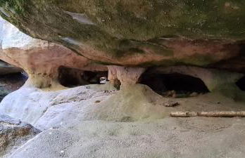 Landhaus Porschdorf - Foto 28