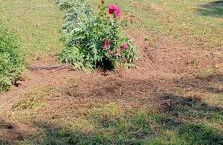 Les Jardins de Castelange - Foto 15