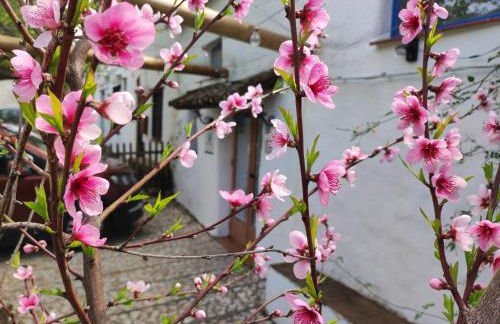 CASITA ESPERANZA - Foto 34