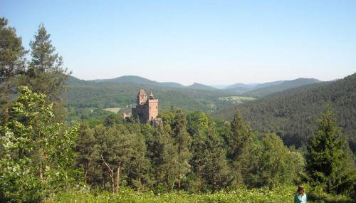 Ferienwohnung-Monte-Noble-I-Suedpfalz - Foto 3