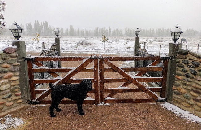 Viento Andino - Foto 26