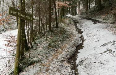 Alte Schüre - Foto 26