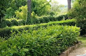 I Gelsi di Colombata Locazione turistica breve in campagna - Foto 33