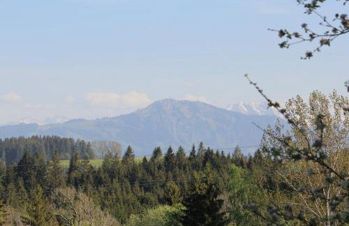 Kuh Heimat - Bergblick - Terrasse - Photo 27