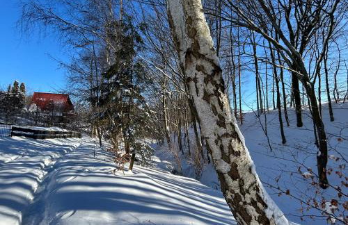Biała Czapla - Foto 47