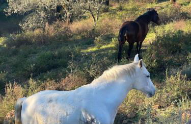Alojamiento La Casa del Pintor - Foto 46