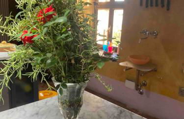 Castello Stella in Vaglio Serra ,Monferrato unesco - Photo 16