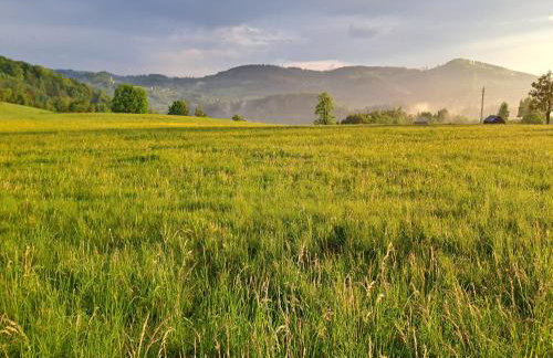 Apartament Na Rozdrożu - Foto 18