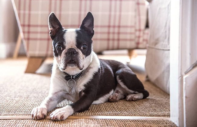 Serendipity, Aldeburgh - Foto 2