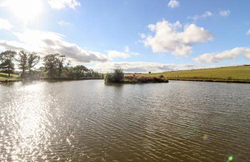 Douglas Cabin at Salford Court Farm Fishing Cabins - Foto 18