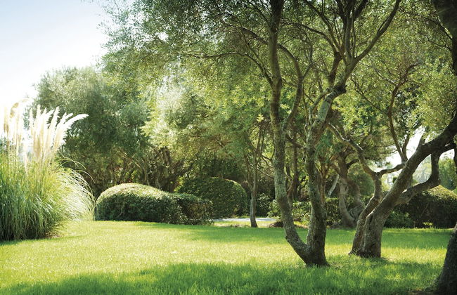 Inturotel Azul Garden - Foto 34