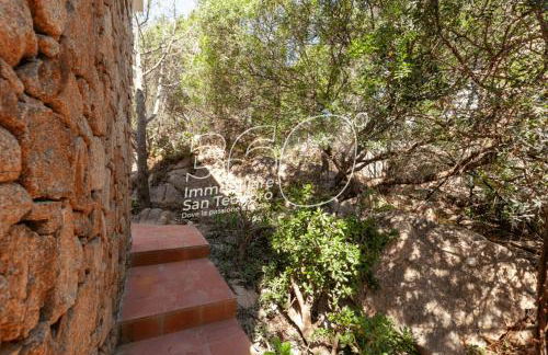 VIllino Ginepro - Foto 32