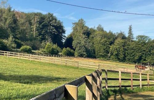 Etzauer Mühle im Taunus, Suite - Foto 9