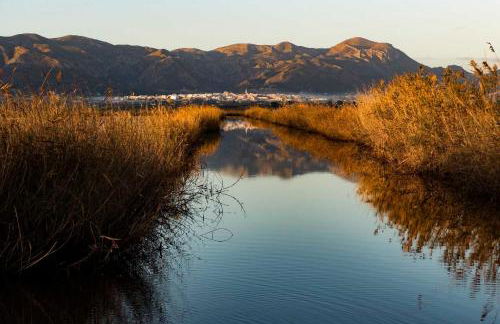 RichMarHome - Foto 59