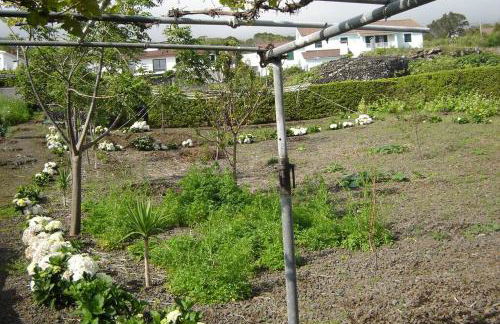 Silveira's Home - Photo 10