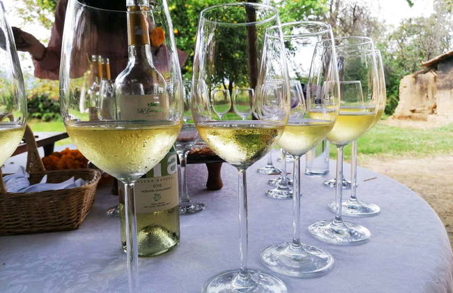 Tour por las bodegas del valle de la Concepción - Foto 8