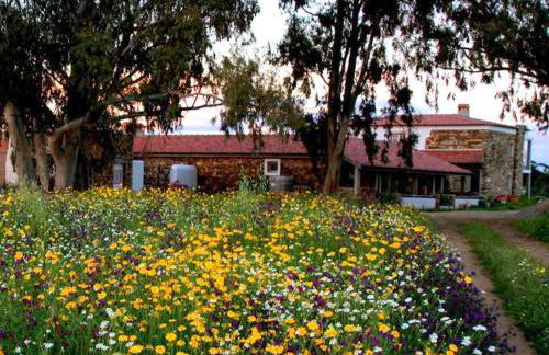 Couto dos Pardinhos - Foto 21