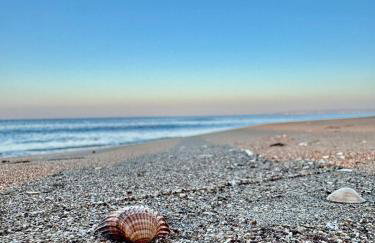 Hermes Grove - Foto 7