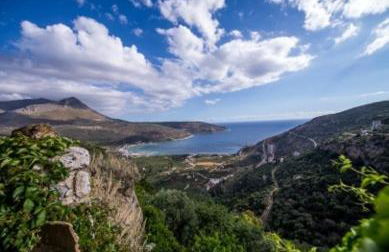 Olga's House - Foto 34