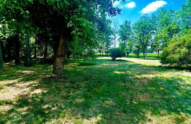 Dormi nella SPA privata con letto ad acqua, sauna, doccia emozionale e kneipp - Foto 62