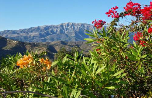 Villa Perla Blanca - Foto 33