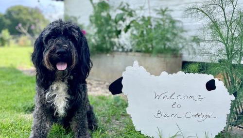 Barn Cottage -Westerlands - Foto 2