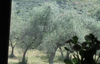 Casa Rural Ventanas a la Sierra - Foto 22