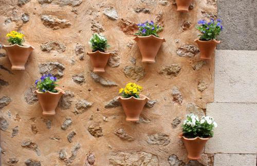 Rectoria 6 - Foto 32