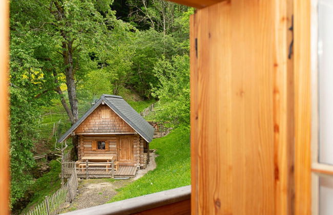 Infanglalm "attersee" - Foto 29