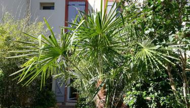 Charmant studio avec jardin - Foto 4, Garden view